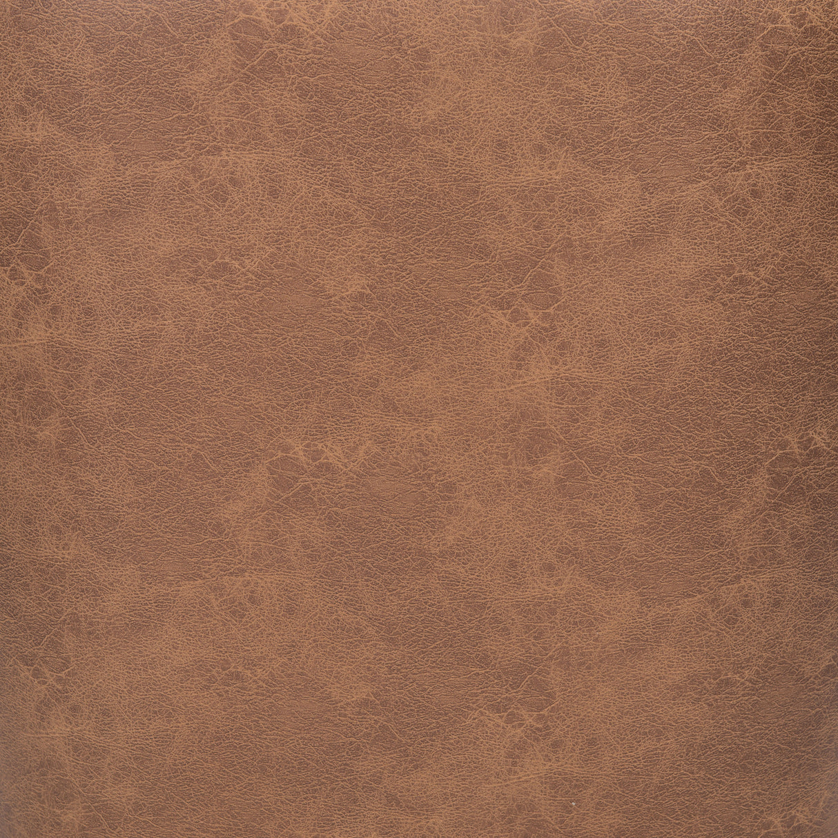 Tasmania Vintage Brown Accent Chair by Zuomod at Eve Furniture