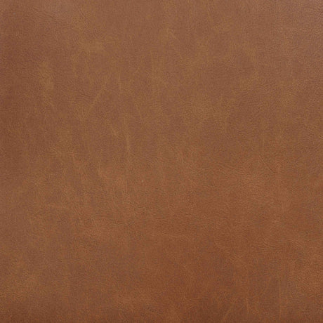 Tegan Cognac Faux Leather Upholstered Dining Side Chair (Set of 2) by Coaster at Eve Furniture