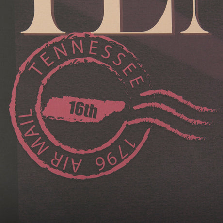 Tennessee Go USA (XL) by Mercana Studio a Hand Embellished Decograph Framed Art Print under Glass by Mercana at Eve Furniture
