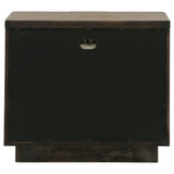 Terrace Ash Brown 2-Drawer Nightstand by Coaster at Eve Furniture