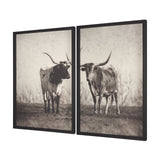 Texas Longhorns (Set of 2) by Debra Van Swearingen a Hand Embellished Framed Art Photograph Print by Mercana at Eve Furniture