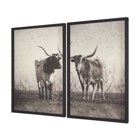Texas Longhorns (Set of 2) by Debra Van Swearingen a Hand Embellished Framed Art Photograph Print by Mercana at Eve Furniture