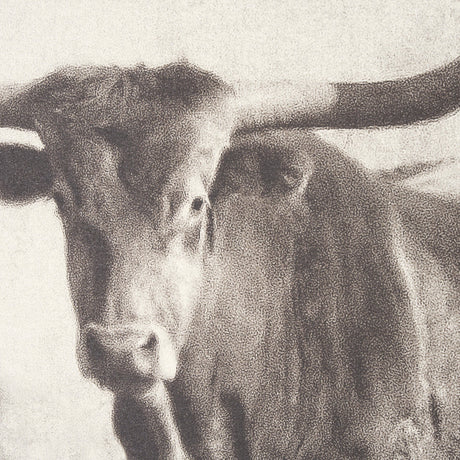 Texas Longhorns (Set of 2) by Debra Van Swearingen a Hand Embellished Framed Art Photograph Print by Mercana at Eve Furniture