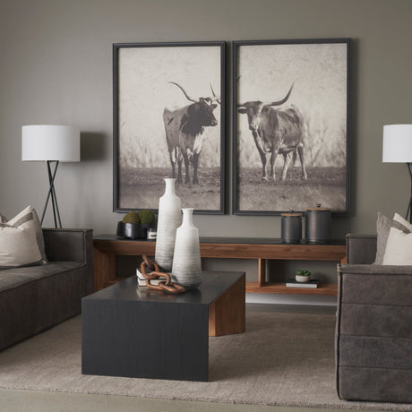 Texas Longhorns (Set of 2) by Debra Van Swearingen a Hand Embellished Framed Art Photograph Print by Mercana at Eve Furniture