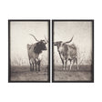 Texas Longhorns (Set of 2) by Debra Van Swearingen a Hand Embellished Framed Art Photograph Print by Mercana at Eve Furniture