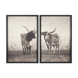 Texas Longhorns (Set of 2) by Debra Van Swearingen a Hand Embellished Framed Art Photograph Print by Mercana at Eve Furniture