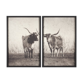 Texas Longhorns (Set of 2) by Debra Van Swearingen a Hand Embellished Framed Art Photograph Print by Mercana at Eve Furniture