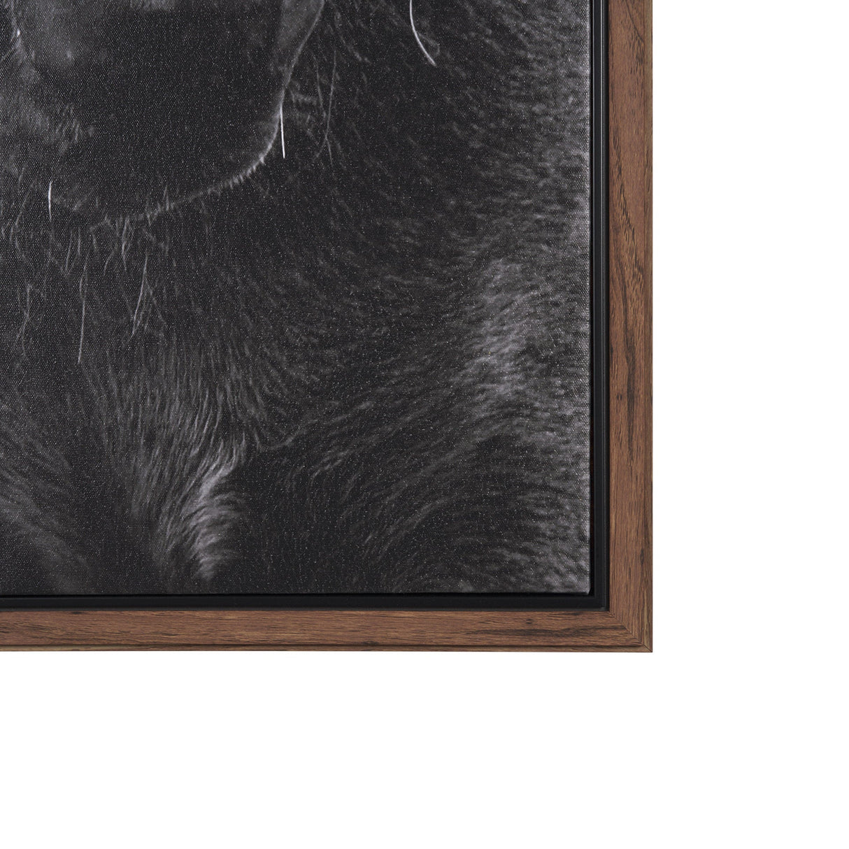 The Foal by Mercana Studio a Hand Embellished Textured Framed Canvas by Mercana at Eve Furniture