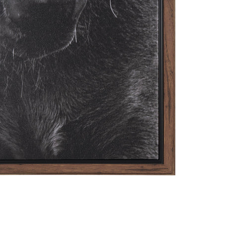 The Foal by Mercana Studio a Hand Embellished Textured Framed Canvas by Mercana at Eve Furniture