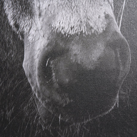 The Foal by Mercana Studio a Hand Embellished Textured Framed Canvas by Mercana at Eve Furniture