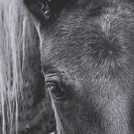 The Foal by Mercana Studio a Hand Embellished Textured Framed Canvas by Mercana at Eve Furniture