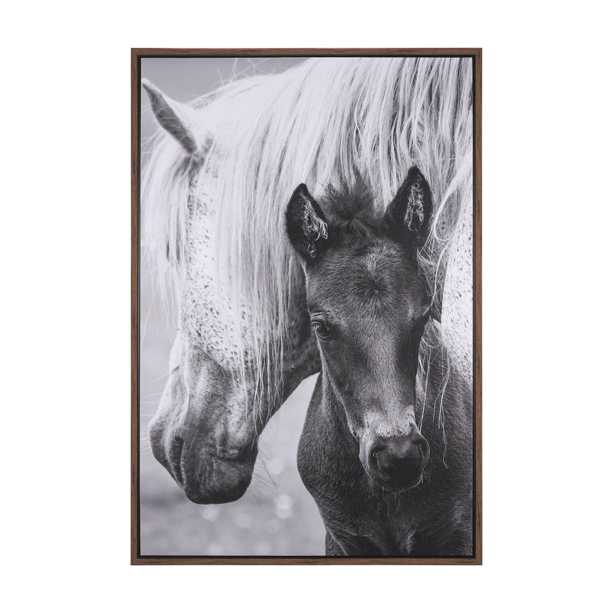The Foal by Mercana Studio a Hand Embellished Textured Framed Canvas by Mercana at Eve Furniture