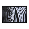 The look of Nature by Mercana Studio a Hand Embellished Textured Framed Photo Art Print Matted under by Mercana at Eve Furniture