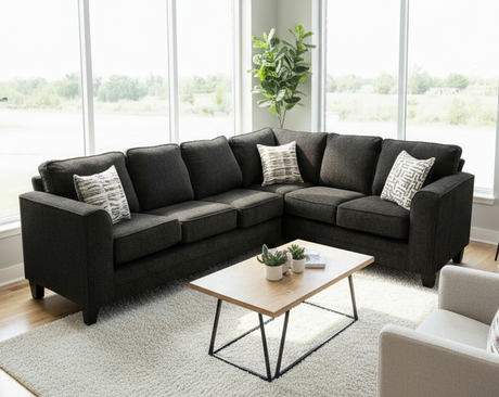 Thea Black 2-Piece Sectional by New Era Innovations at Eve Furniture
