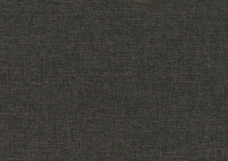 Therese Gray Daybed with Trundle by Homelegance at Eve Furniture