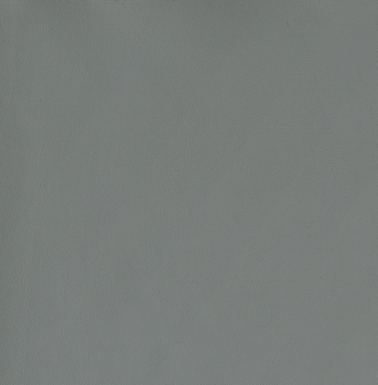 Thermosolis Gray/Chrome Acrylic Back Counter Height Stools, Set of 2 by Coaster at Eve Furniture