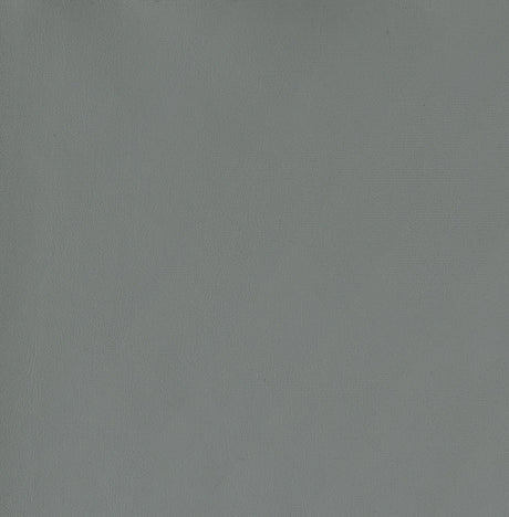 Thermosolis Gray/Chrome Acrylic Back Counter Height Stools, Set of 2 by Coaster at Eve Furniture