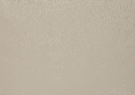 Thierry Cream Chair by Homelegance at Eve Furniture
