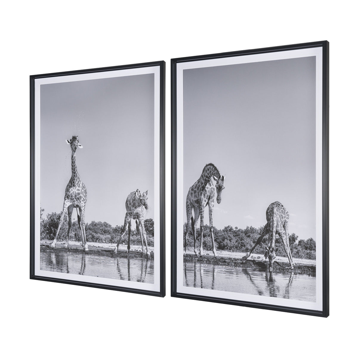 Thirsty Savanna Giraffes(Set of 2) by Jun Zuo Hand-Embellished Framed Photo Print Matted under Glass by Mercana at Eve Furniture