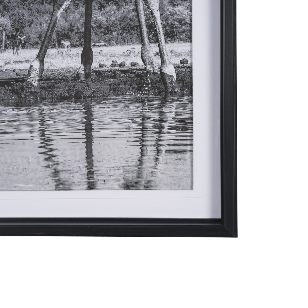 Thirsty Savanna Giraffes(Set of 2) by Jun Zuo Hand-Embellished Framed Photo Print Matted under Glass by Mercana at Eve Furniture