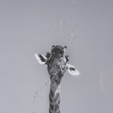 Thirsty Savanna Giraffes(Set of 2) by Jun Zuo Hand-Embellished Framed Photo Print Matted under Glass by Mercana at Eve Furniture