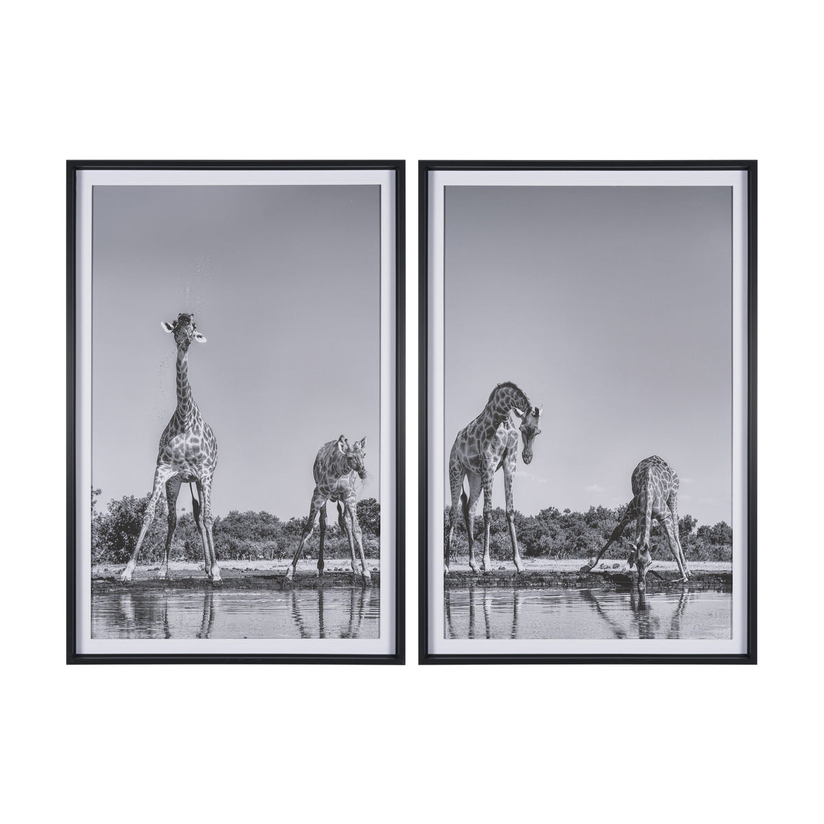 Thirsty Savanna Giraffes(Set of 2) by Jun Zuo Hand-Embellished Framed Photo Print Matted under Glass by Mercana at Eve Furniture