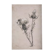 Thistle With Bumblebee Drawing IV by Mercana Studio a Hand Embellished Textured Canvas by Mercana at Eve Furniture