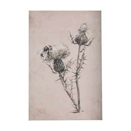 Thistle With Bumblebee Drawing IV by Mercana Studio a Hand Embellished Textured Canvas by Mercana at Eve Furniture
