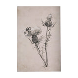 Thistle With Bumblebee Drawing IV by Mercana Studio a Hand Embellished Textured Canvas by Mercana at Eve Furniture