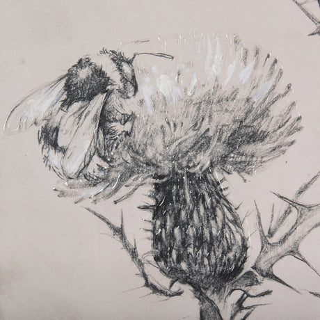 Thistle With Bumblebee Drawing IV Mercana Studio Hand Embellished Framed Art Print Matted under Glas by Mercana at Eve Furniture