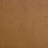 Thornton Cognac Velvet Upholstered Wingback Lounge Accent Chair by Coaster at Eve Furniture