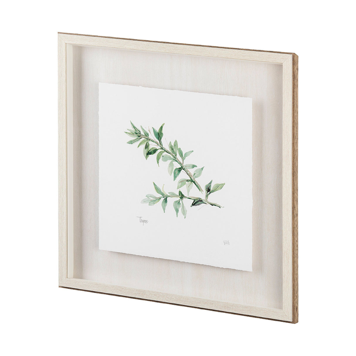 Thyme v2 by Chris Paschke a Framed Art Print Matted under Glass by Mercana at Eve Furniture