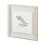 Thyme v2 by Chris Paschke a Framed Art Print Matted under Glass by Mercana at Eve Furniture