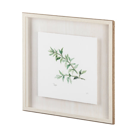 Thyme v2 by Chris Paschke a Framed Art Print Matted under Glass by Mercana at Eve Furniture