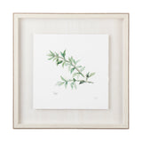 Thyme v2 by Chris Paschke a Framed Art Print Matted under Glass by Mercana at Eve Furniture