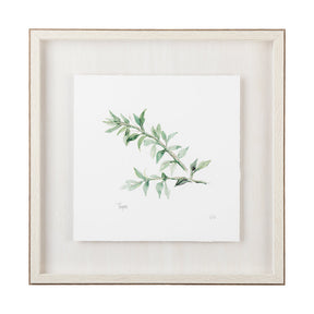 Thyme v2 by Chris Paschke a Framed Art Print Matted under Glass by Mercana at Eve Furniture