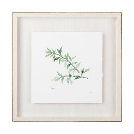 Thyme v2 by Chris Paschke a Framed Art Print Matted under Glass by Mercana at Eve Furniture