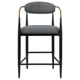 Tina Metal Counter Height Bar Stool with Upholstered Back and Seat Dark Grey (Set of 2)