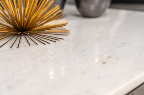 Tobin Square Marble Top Coffee Table White and Black by Coaster at Eve Furniture