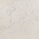 Tobin Square Marble Top Coffee Table White and Black by Coaster at Eve Furniture