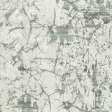 Tobinbury Gray Washable Large Rug by Ashley at Eve Furniture