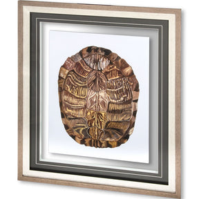 Tortoise Shell Detail I by Naomi McCavitt a Framed Art Print Matted under Glass by Mercana at Eve Furniture