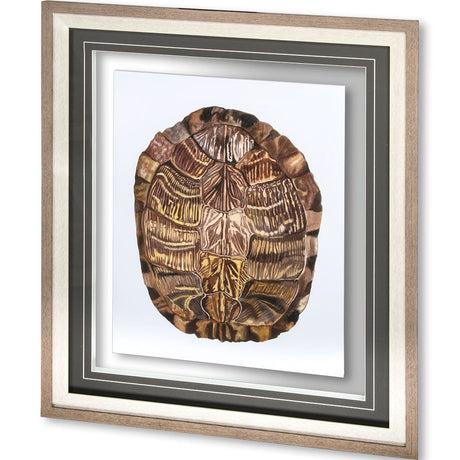 Tortoise Shell Detail I by Naomi McCavitt a Framed Art Print Matted under Glass by Mercana at Eve Furniture