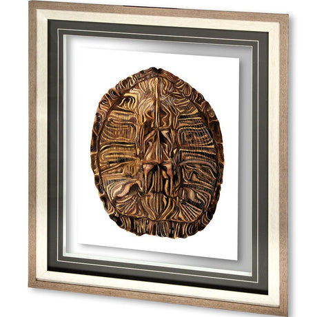 Tortoise Shell Detail II by Naomi McCavitt a Framed Art Print Matted under Glass by Mercana at Eve Furniture