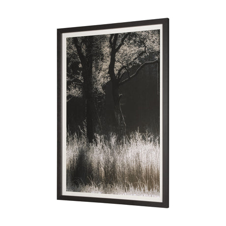 Tranquil Symmetry I by Mikael Svensson a Framed Photo Art Print Matted under Glass by Mercana at Eve Furniture