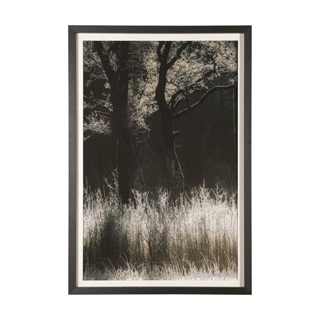 Tranquil Symmetry I by Mikael Svensson a Framed Photo Art Print Matted under Glass by Mercana at Eve Furniture
