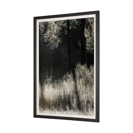 Tranquil Symmetry II by Mikael Svensson a Framed Photo Art Print Matted under Glass by Mercana at Eve Furniture