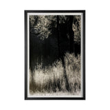 Tranquil Symmetry II by Mikael Svensson a Framed Photo Art Print Matted under Glass by Mercana at Eve Furniture