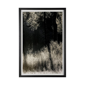 Tranquil Symmetry II by Mikael Svensson a Framed Photo Art Print Matted under Glass by Mercana at Eve Furniture
