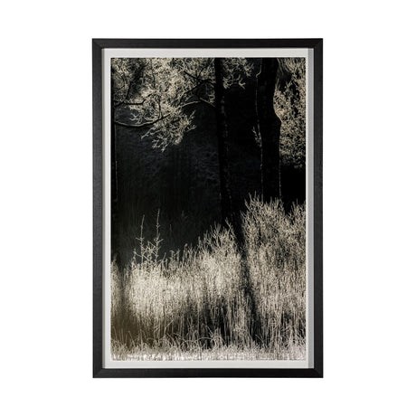 Tranquil Symmetry II by Mikael Svensson a Framed Photo Art Print Matted under Glass by Mercana at Eve Furniture